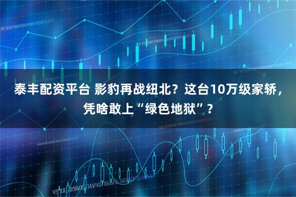 泰丰配资平台 影豹再战纽北？这台10万级家轿，凭啥敢上“绿色地狱”？