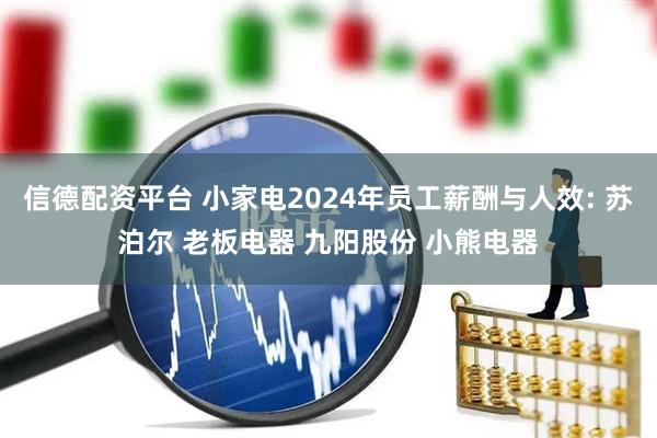 信德配资平台 小家电2024年员工薪酬与人效: 苏泊尔 老板电器 九阳股份 小熊电器